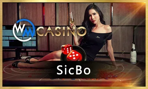 Phplus11 Live Casino via 1win Connexion